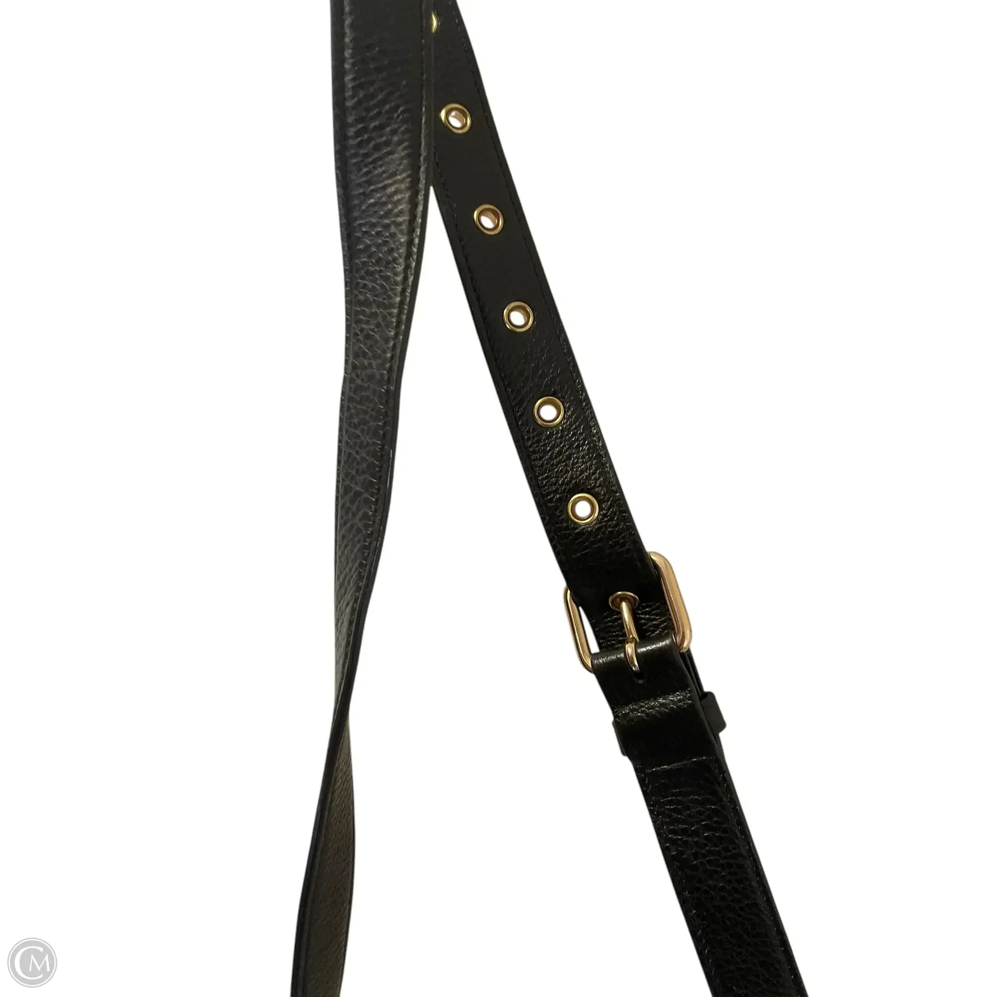 Crossbody Designer By Coach, Size: Medium