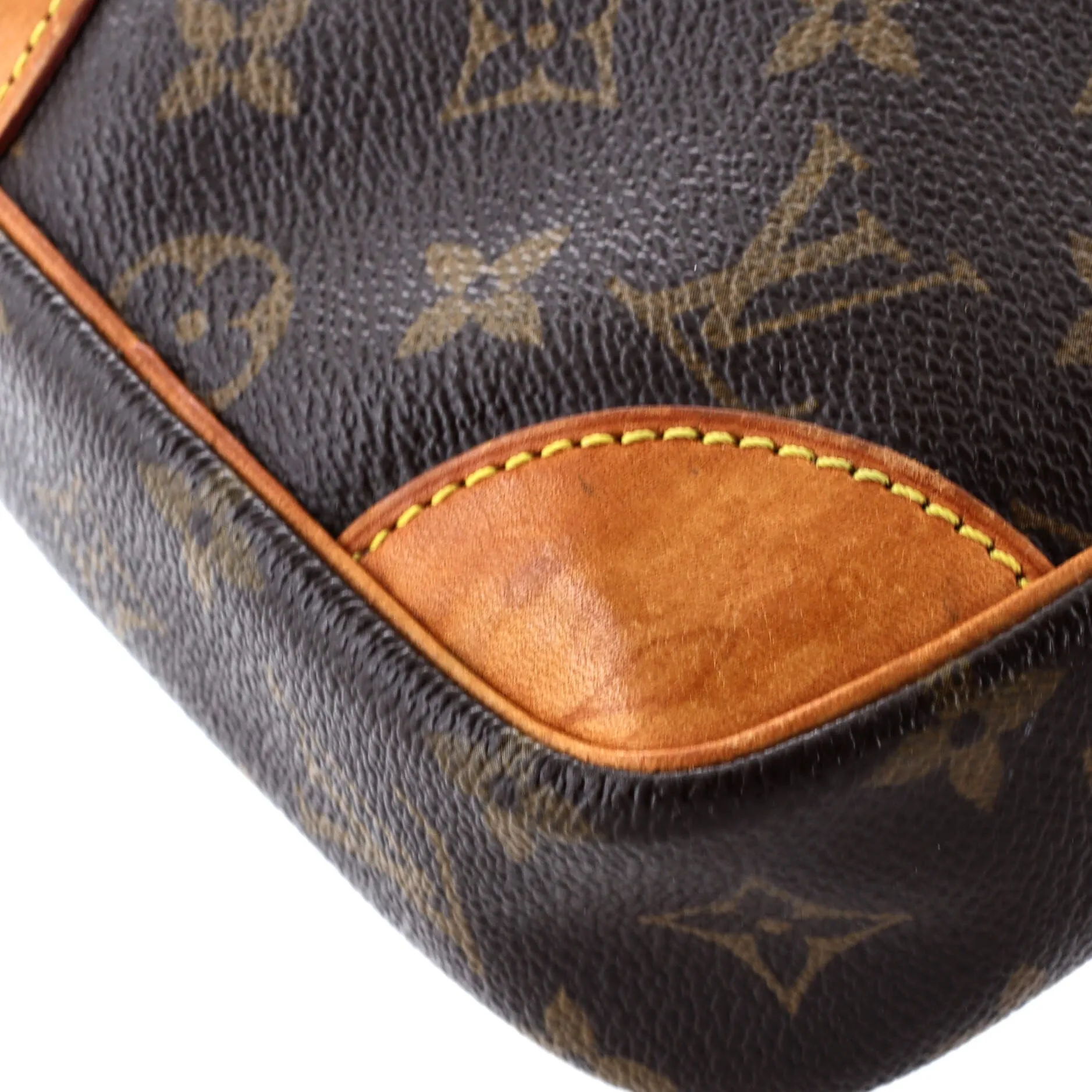 Danube Handbag Monogram Canvas