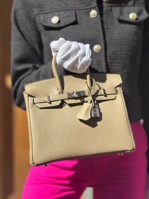 Herm??s Grey Togo Leather Birkin 25 (Palladium Hardware)