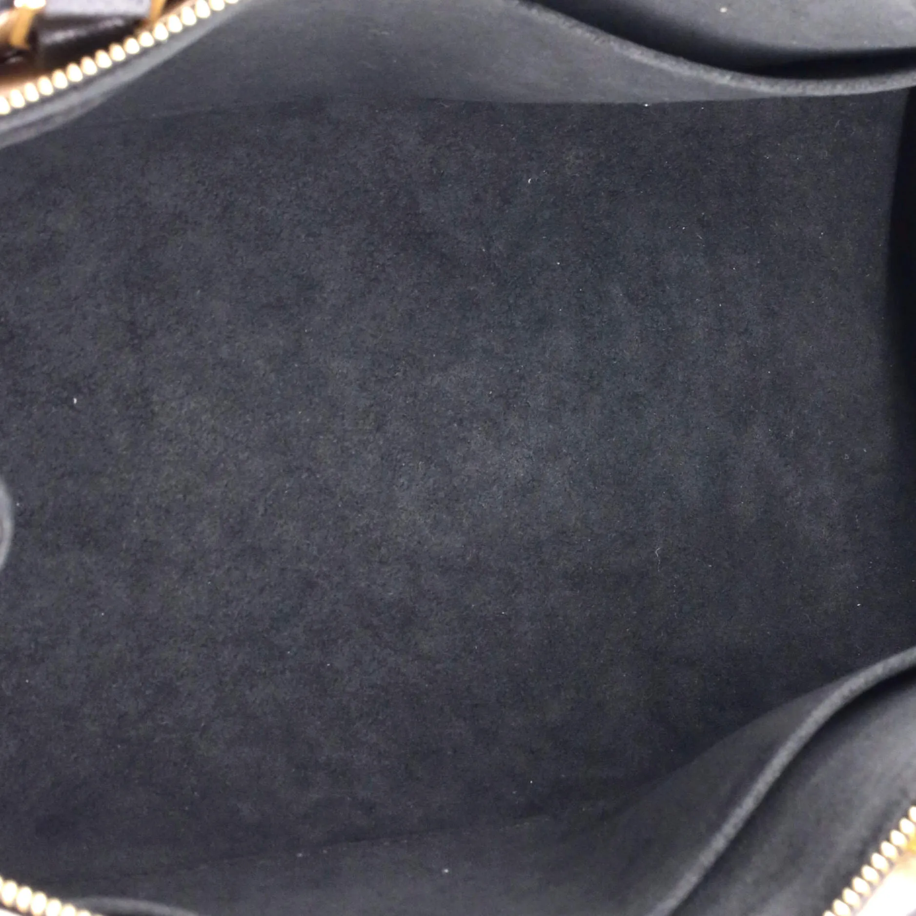 Petit Palais Handbag Bicolor Monogram Empreinte Giant