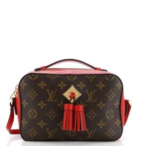 Saintonge Handbag Monogram Canvas with Leather