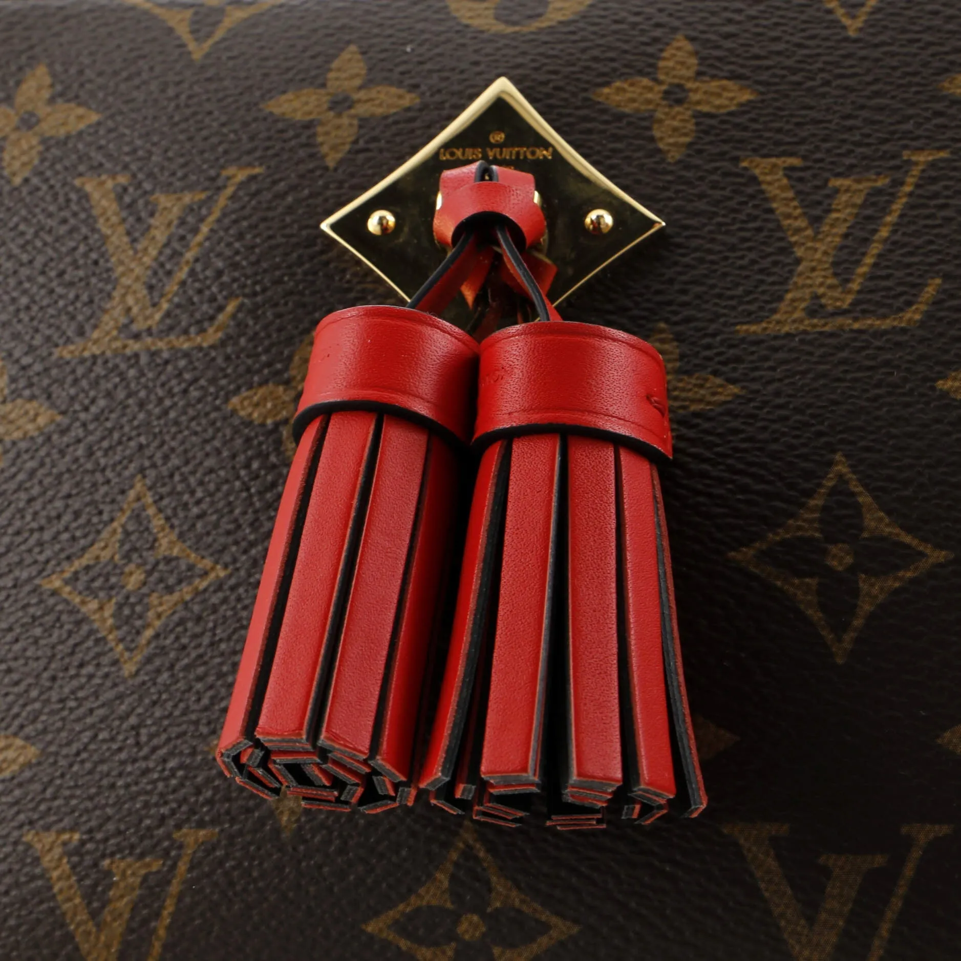 Saintonge Handbag Monogram Canvas with Leather