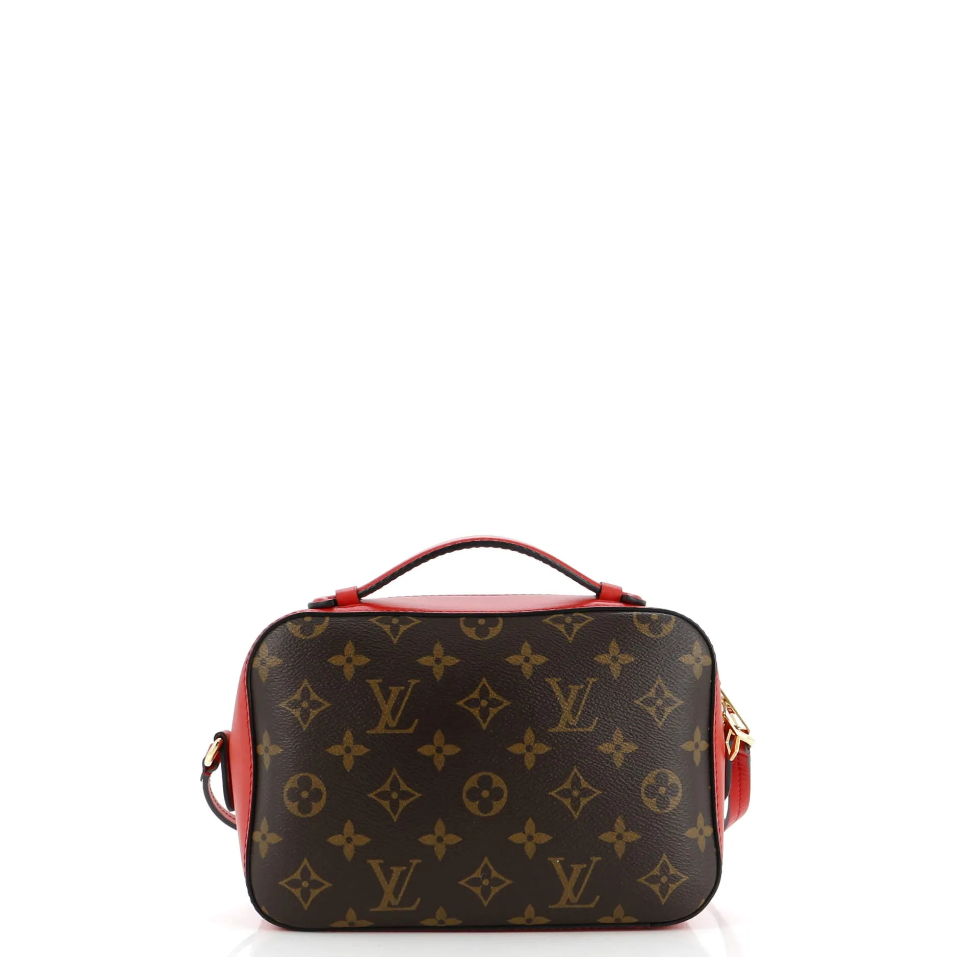 Saintonge Handbag Monogram Canvas with Leather