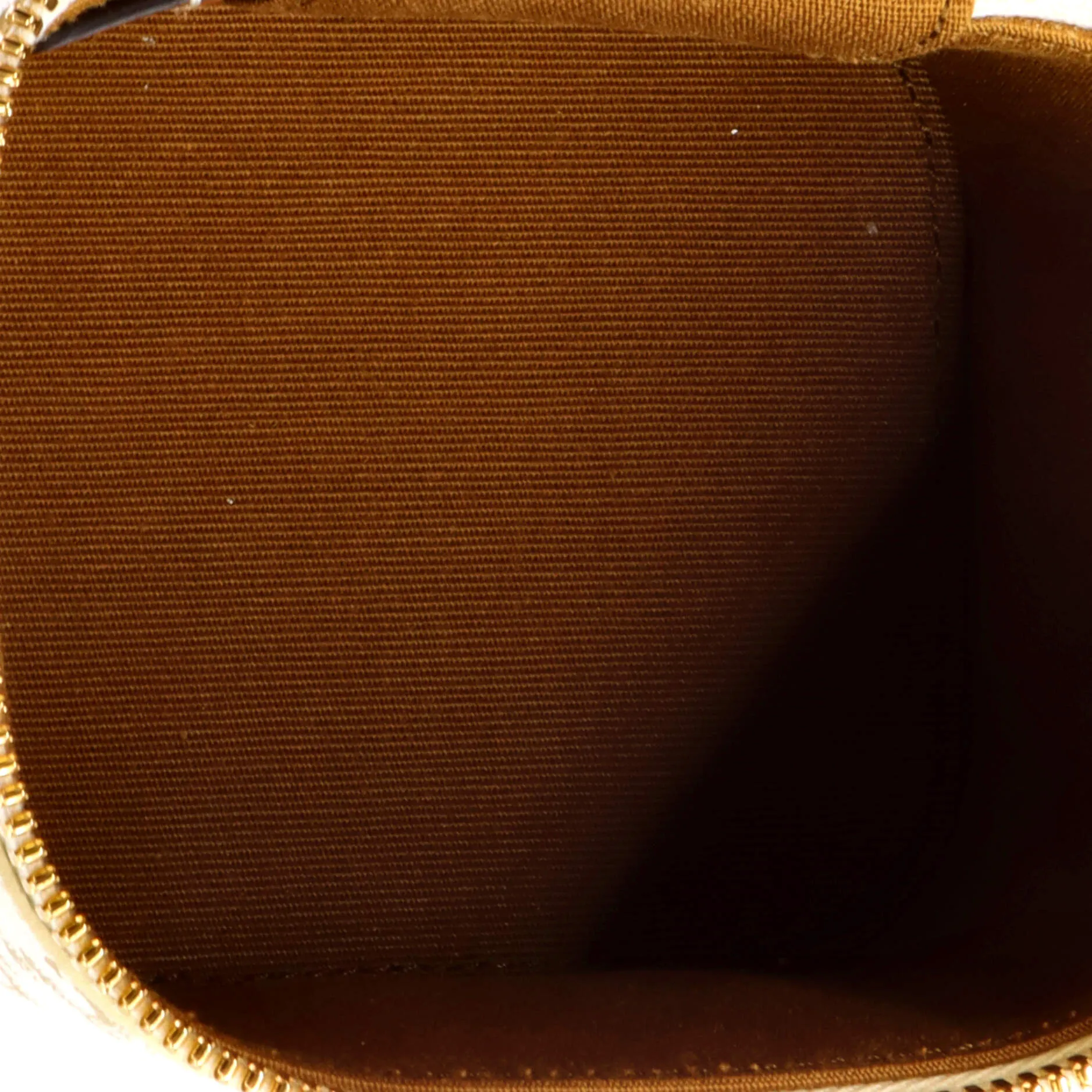 Top Handle Square Vanity Case Triomphe Coated Canvas Mini